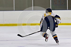 Woman ice hockey player during a game