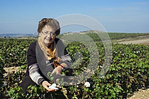 A woman inspecting cotton quality