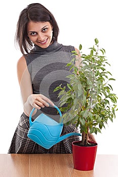 Woman irrigate plants in flowerpots photo