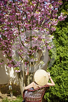 woman with a Japanese hat next to a blooming cherry tree