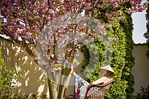 woman with a Japanese hat next to a blooming cherry tree