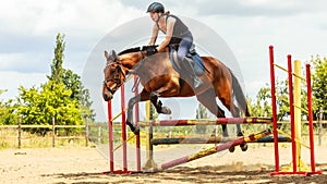 Woman jockey training riding horse. Sport activity