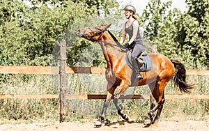 Woman jockey training riding horse. Sport activity