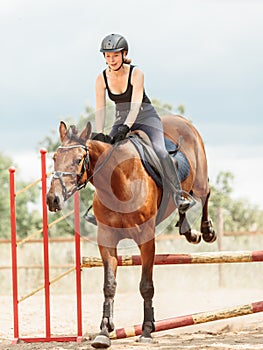 Woman jockey training riding horse. Sport activity