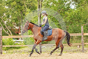 Woman jockey training riding horse. Sport activity