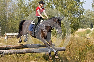 Woman on jumping horse