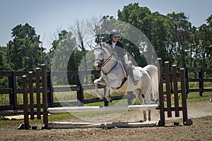 Woman jumps Arabian cross over vertical