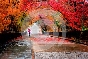 Woman keeping umbrella under the rain in the way