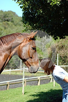 Woman kissing horse