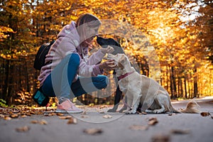 Woman kneeling down to pat and kiss her two dogs in the middle of beautiful autumn forest