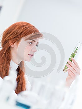 Woman laboratory plant analysis photo