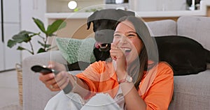 Woman laughing and watching tv with her dog in living room for comedy show, streaming movie or film relax, happy and joy