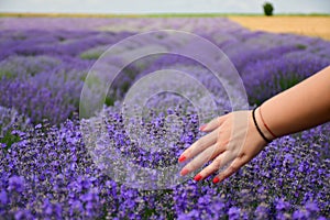 Woman in Lavender field