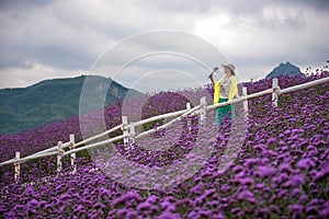 Woman in lavender field