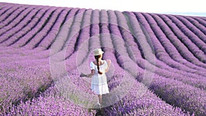 Woman in lavender field - Happy Lady in hat enjoys sunny day, wandering in lavender field, appreciating nature. Girl