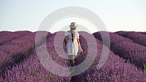 Woman in lavender field - Happy Lady in hat enjoys sunny day, wandering in lavender field, appreciating nature. Girl