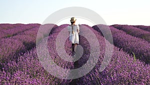 Woman in lavender field - Happy Lady in hat enjoys sunny day, wandering in lavender field, appreciating nature. Girl