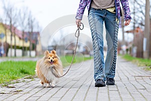 Woman leads her dog on a leash