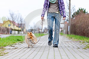 Woman leads her dog on a leash