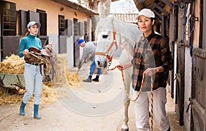 Woman leads a white horse by the bridle along stable