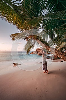 A woman lean against coconut palm tree in a gold sunset on a tropical sandy beach. La Digue, Seychelles