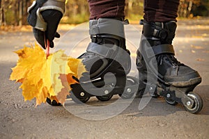 Woman leaned yellow maple leaves to roller