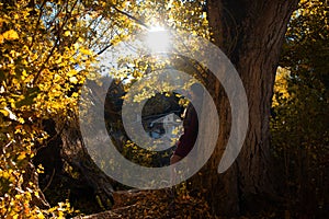 Woman leaning on a tree portraying autumn landscape. Young woman photographing autumn landscape. Autumn concept, nature