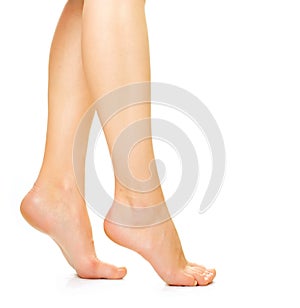 Woman Legs