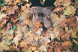 Woman legs in brown shoes against autumn leaves background