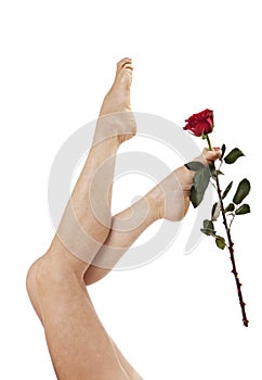 Woman legs holding a rose