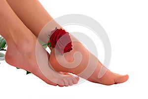 Woman legs with rose