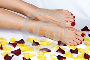 Woman legs in rose petals