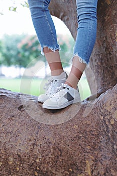 Woman legs standing on tree branch in park vertical