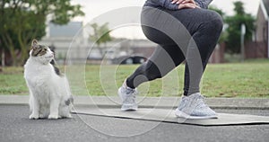 Woman, legs and stretching with cat on mat, road or asphalt for exercise, workout or outdoor training. Closeup of female