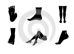 Woman legs vector icon on white background.