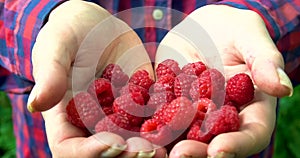 Woman lend a hands with raspberries.