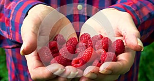 Woman lend a hands with raspberries