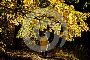 A woman in a light jacket is walking along a yellow maple avenue