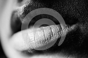 Woman lips