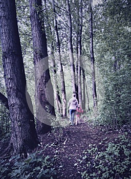 Woman and little girl in dark woods, back view. Family walk away on path in forest. Child with mother go on footpath among big