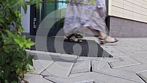 A woman in long ethnic skirt walking outside, leaving an office center or modern shopping mall, beautiful entrance of a