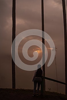 woman lookin sunset with wax palm tree in Cocora Valley near Salento Quindio, Colombia