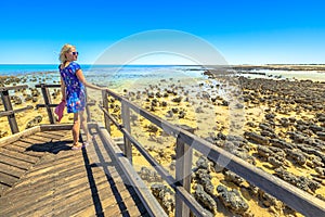 Woman looking Australian Stromatolites