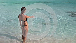 Woman looking at lemon reef sharks swimming around