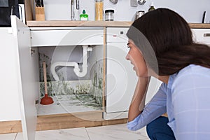 Woman Looking At Mold In Cabinet Area