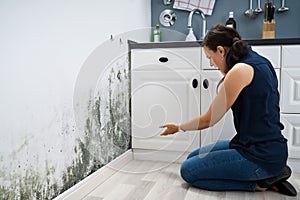 Woman Looking At Mold Wall Damage photo