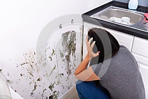 Woman Looking At Mold On Wall photo