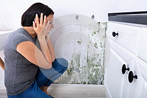 Woman Looking At Mold On Wall photo