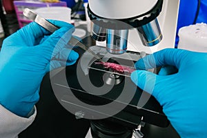 Woman looking at the organism microscope. biology lab