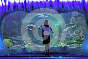 Woman looking at Sharks in Sea Life Aquarium in Sydney New South Wales Australia